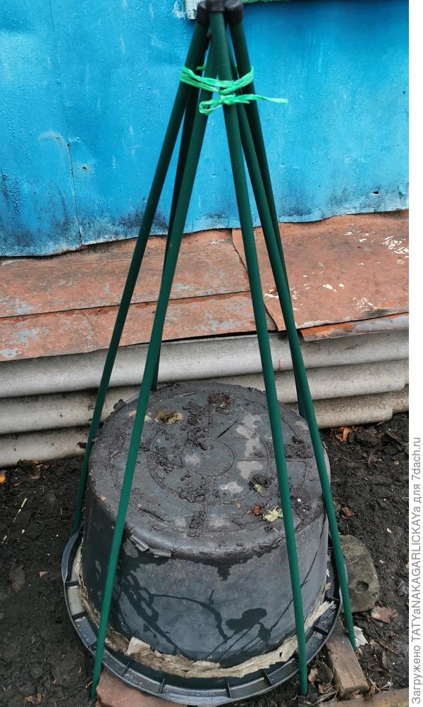 укрываем клематисы красиво 2025 каркас из колышков