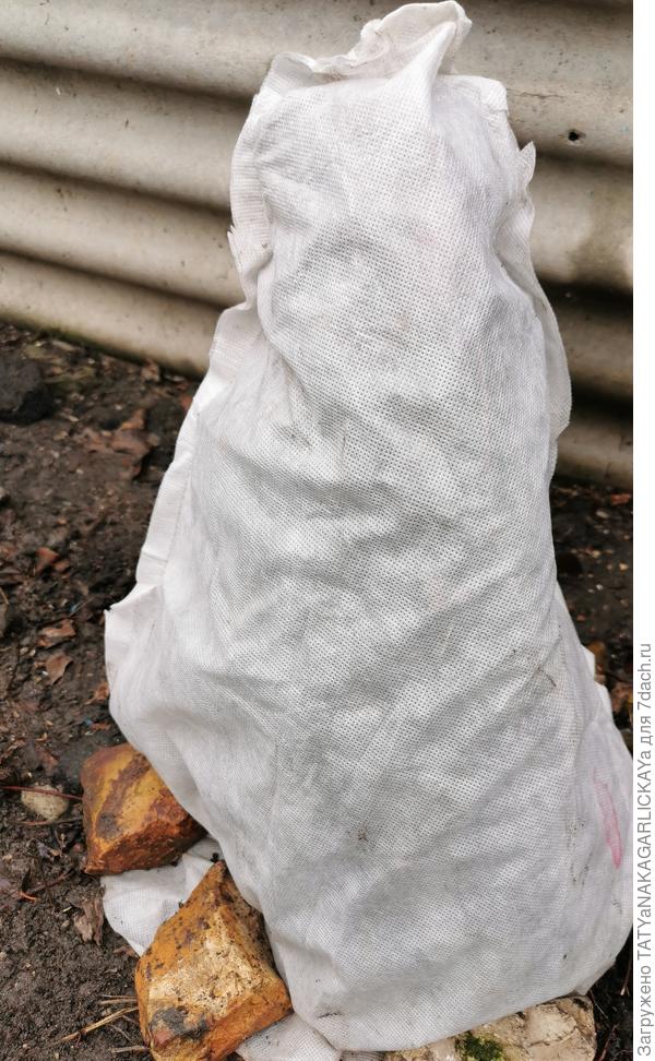 Укрываем клематисы 2025 воздушно-сухое укрытие