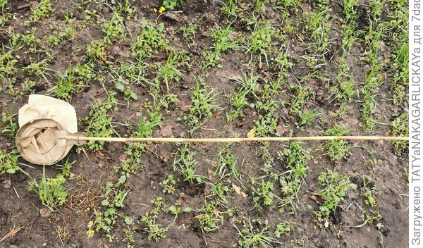 плодосъемник