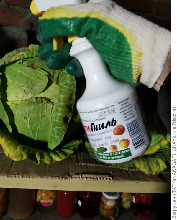 Средство АнтиГниль