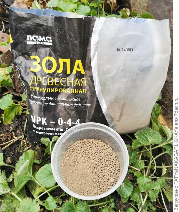 От влаги в погребе поможет зола