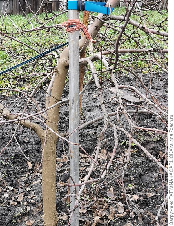 После побелки