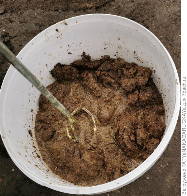 Перемешиваем шуруповёртом с насадкой венчик строительный