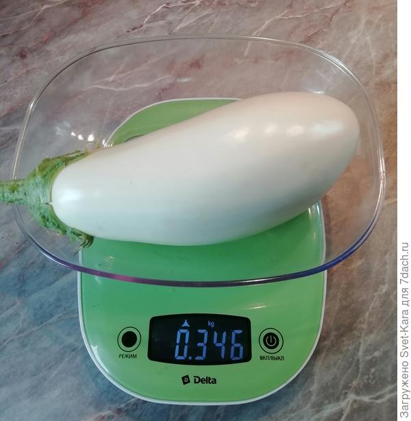 баклажан Бибо F1