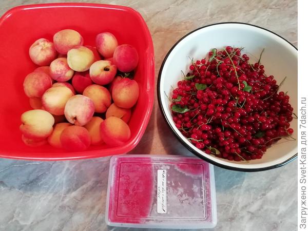 мой урожай =