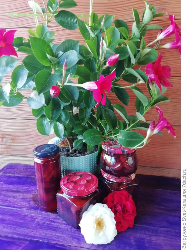 вкусняшки для зимнего чаепития