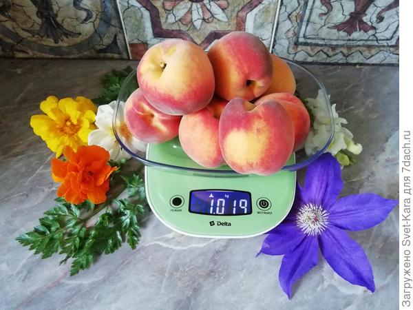 Крупные, румяные, красивые, вкусные.