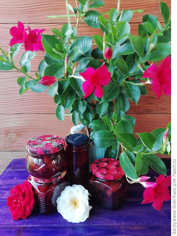 Вкуснота по рецепту семидачницы Марины (MARIKZN), рецепт https://7dach.ru/recepty/MARIKZN/nektariny-v-zhele-iz-krasnoy-smorodiny-238195.html