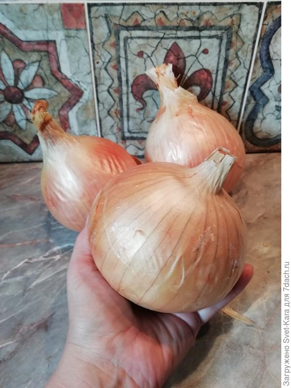 Мой фаворит - Эксибишен. Куда ж без него?