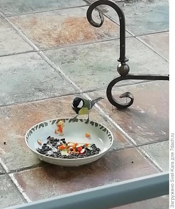 Потихоньку с&#39;ем все!