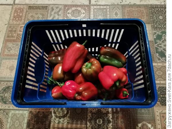 Только из теплицы