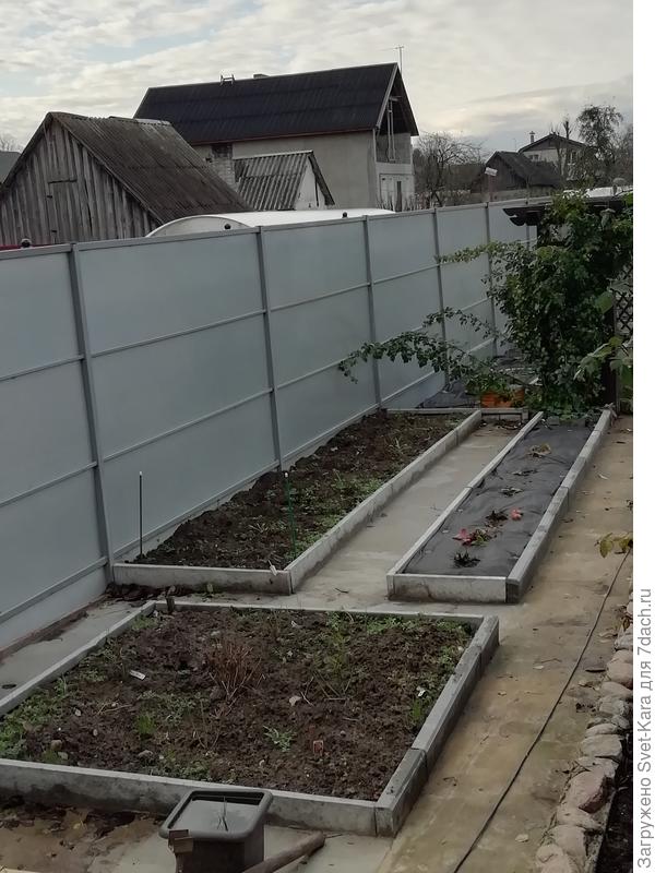 Бывшее картофельное поле.