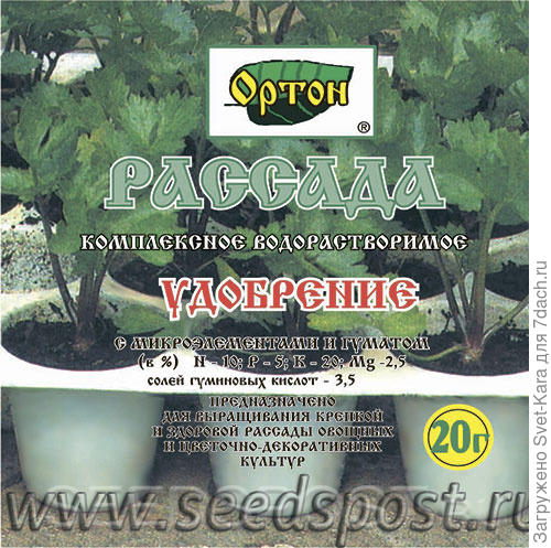 Ппп
