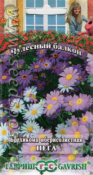 Ттт