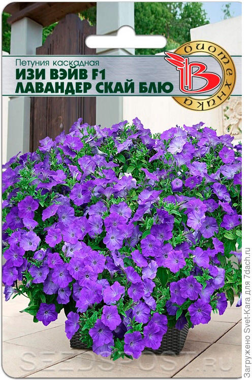 Ссс