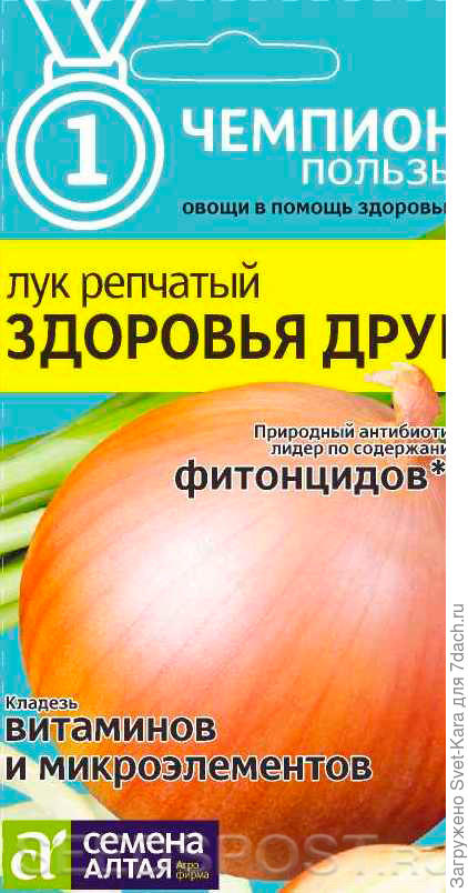 Луковица крупная, овальная, сухие чешуи соломенно-желтые, сочные - белые, средняя масса 200-500 г, отдельные луковицы достигают 800 г. Вкус гармоничный, сладко-острый, очень нежный.