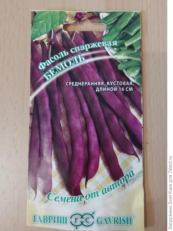 Фасоль Бемоль