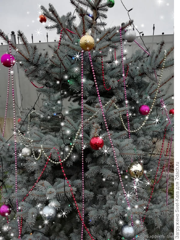 С наступающим Новым Годом!