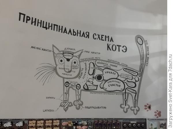 Фото из музея кошек
