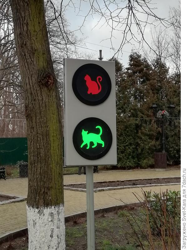 Кошкам - только "ЗЕЛЕНЫЙ"