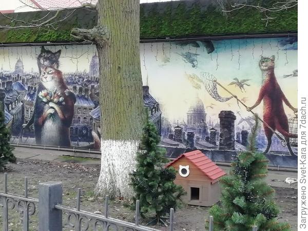 Фасад здания и домик для кошек