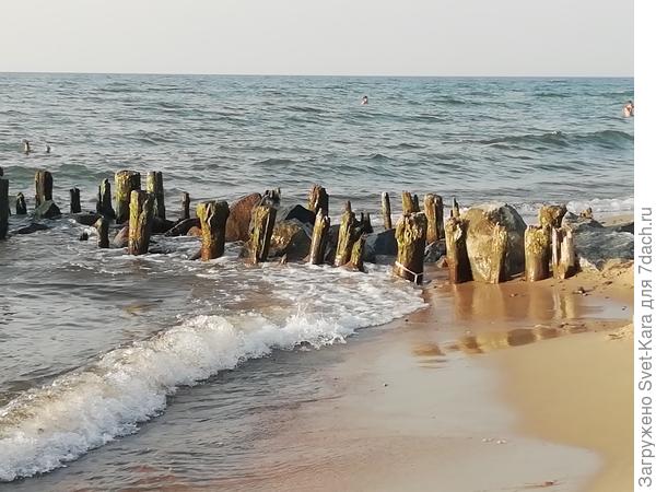 Берег Балтийского моря в районе г. Зеленоградск.