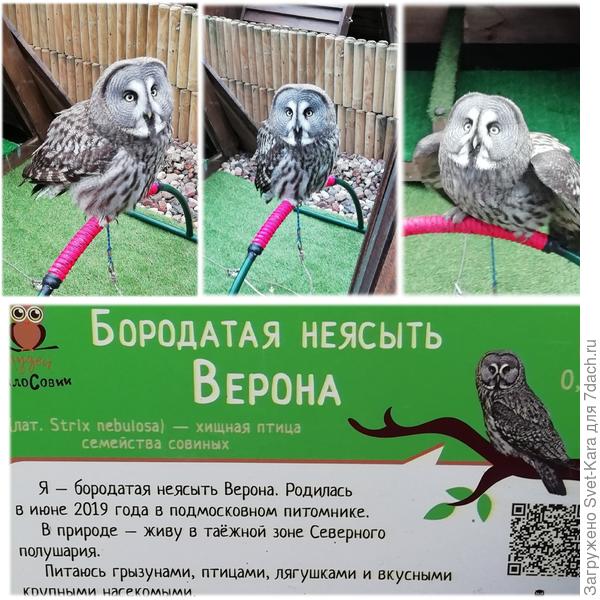 Красавица!