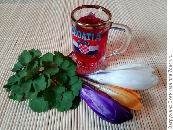 Напиток богов - &amp;quot;Малиновка&amp;quot;