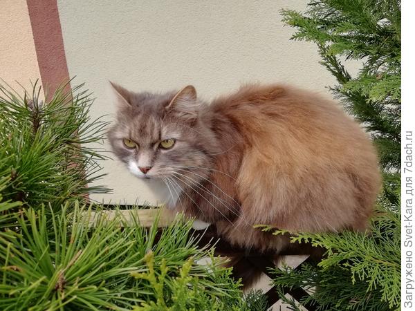 И главный смотрящий - Лева