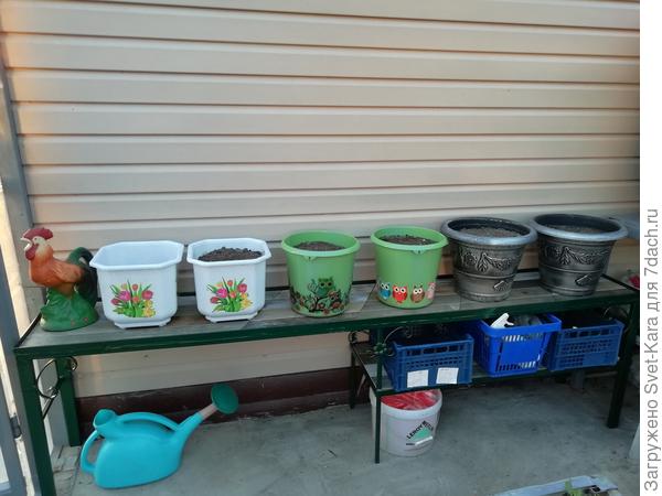 Вот уже готовая полка в теплице стоит и горшочками украшена