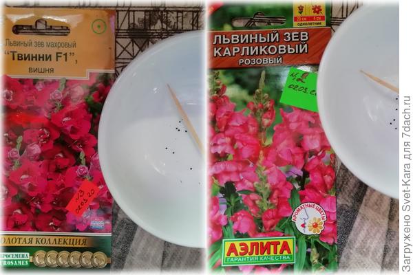 Однолетники