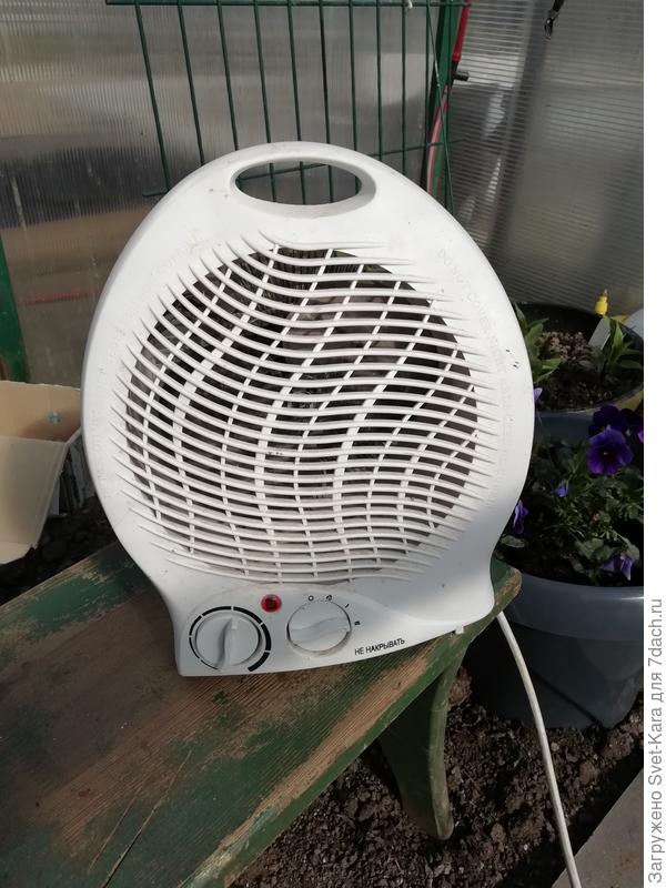 Ветеран и тепличный помощник