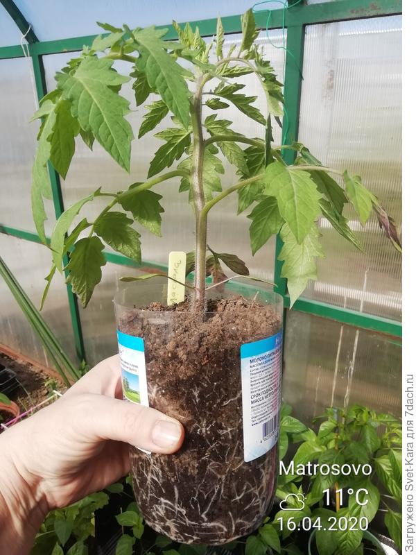 Будущий &quot;Ла Скала&quot;