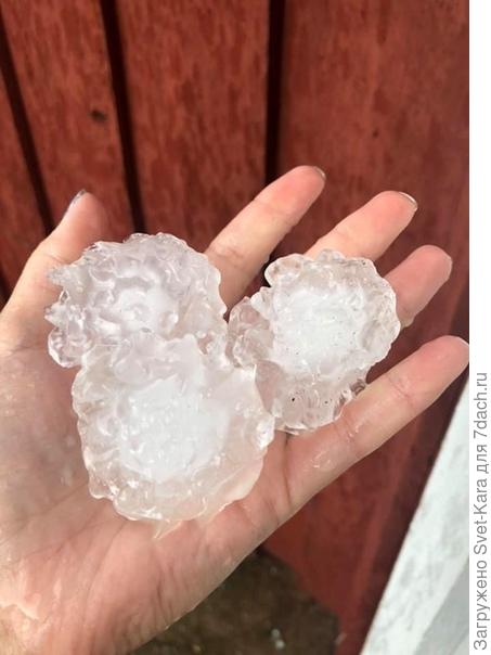 Фото из инета. Град 2 дня назад