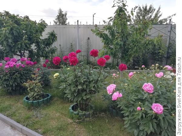 Сегодня перед закатом