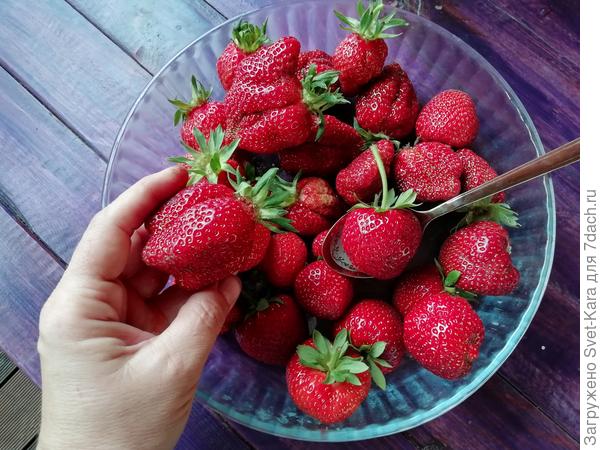 Вот ещё ягодок насобирала к праздничному столу. А ложечка-то СТОЛОВАЯ!