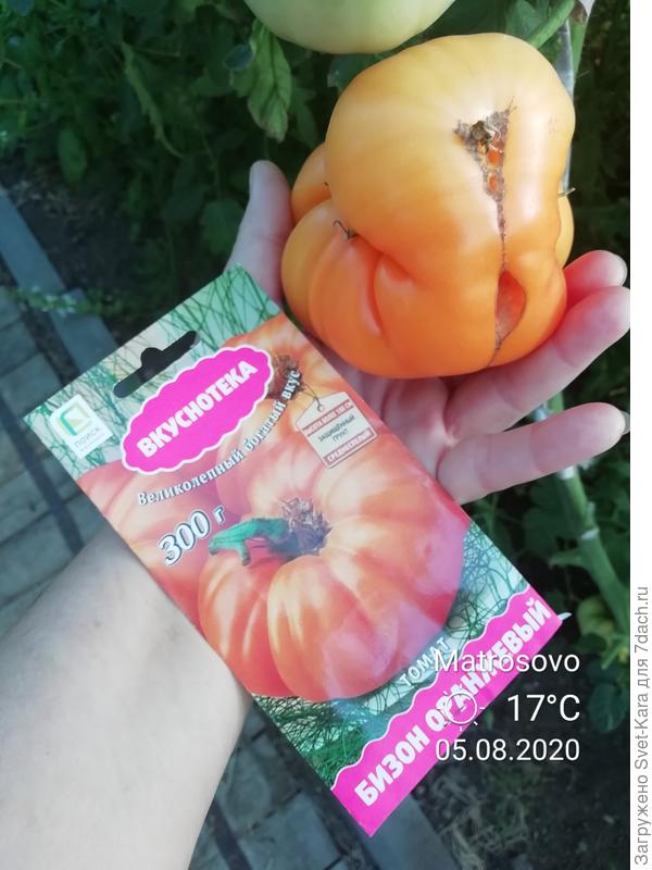 Без слов...:-(