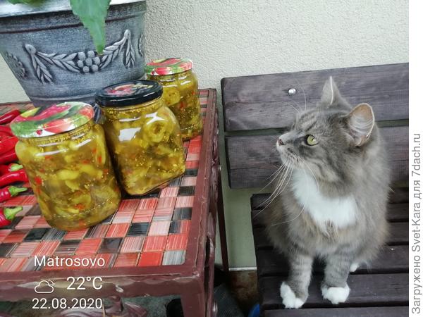 Госприемка. Левочка оценивает результат