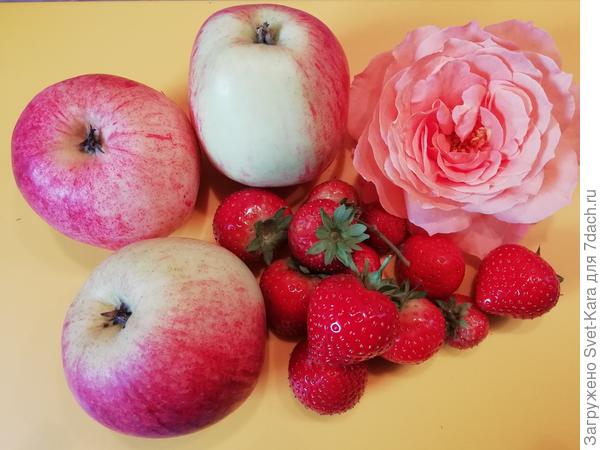 Соседкины яблочки и моя клубничка &amp;quot;Эви 2&amp;quot;