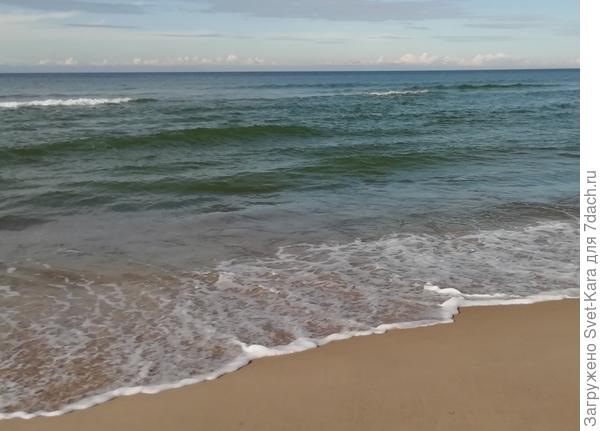 А это для тебя кусочек моря Балтийского. Пусть ветер морской донесет от Калининграда до Питера мои наилучшие пожелания