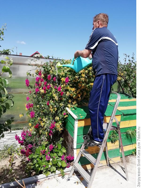 Шуточное фото с мужем и цветами у компостного ящика