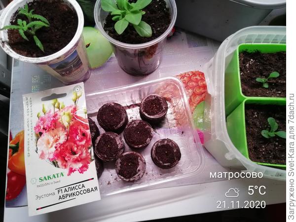 Планы на сезон 2021