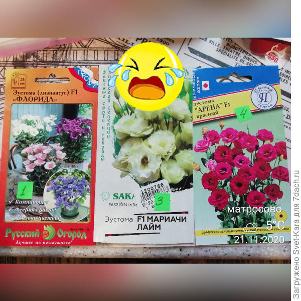 Огорчения эустомного сезона 2020