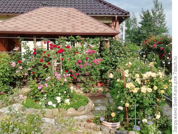 Июньский розовый вальс