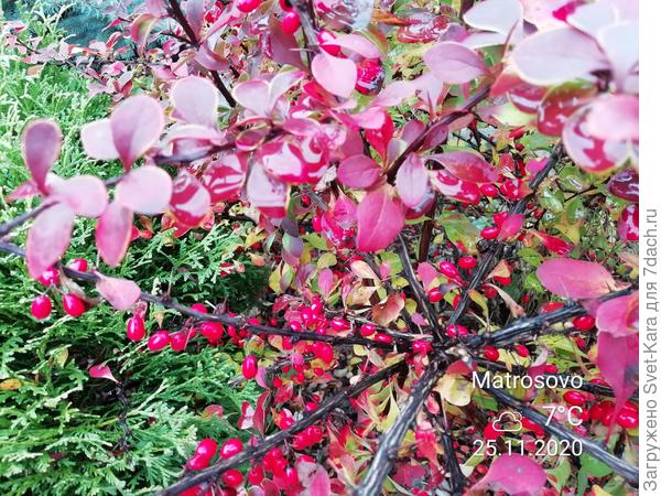 Осенние краски