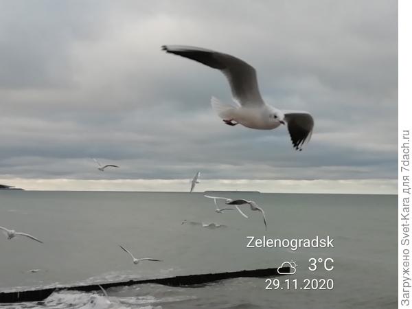 50 оттенков серого