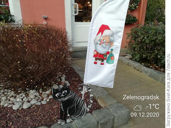 Черный кот и Дед мороз