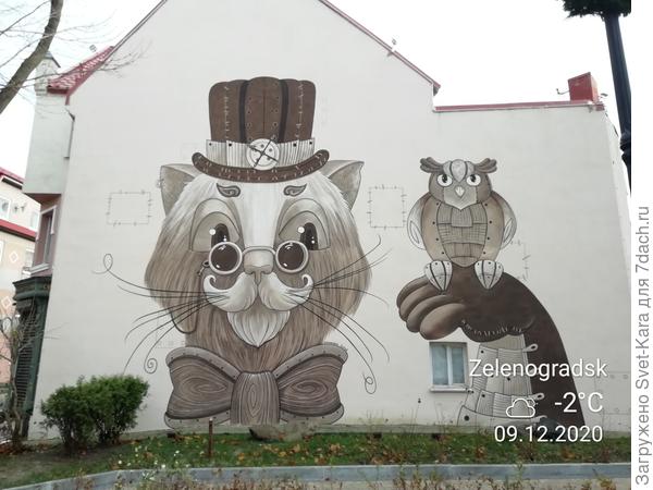 Кот учёный на фасаде жилого дома