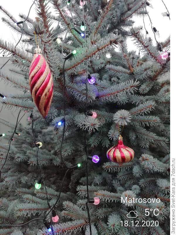 Дождь. +5°. Но праздник же никто не отменял