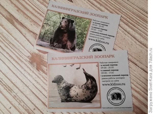 Билетики симпатичные, вполне можно оставить на память